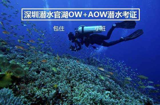 普通鸡蛋和土鸡蛋有什么区别游戏画面