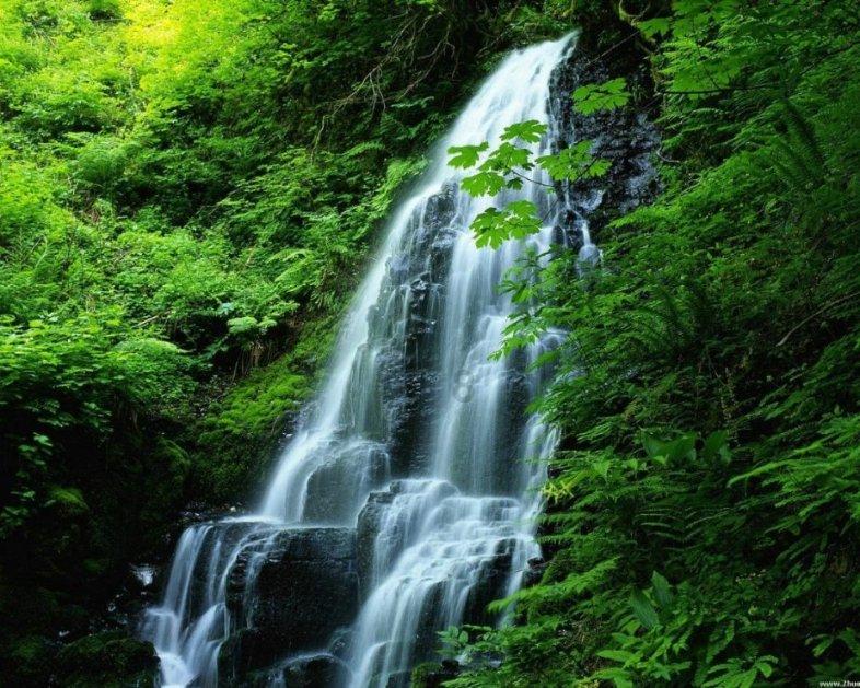 白化摇篮曲