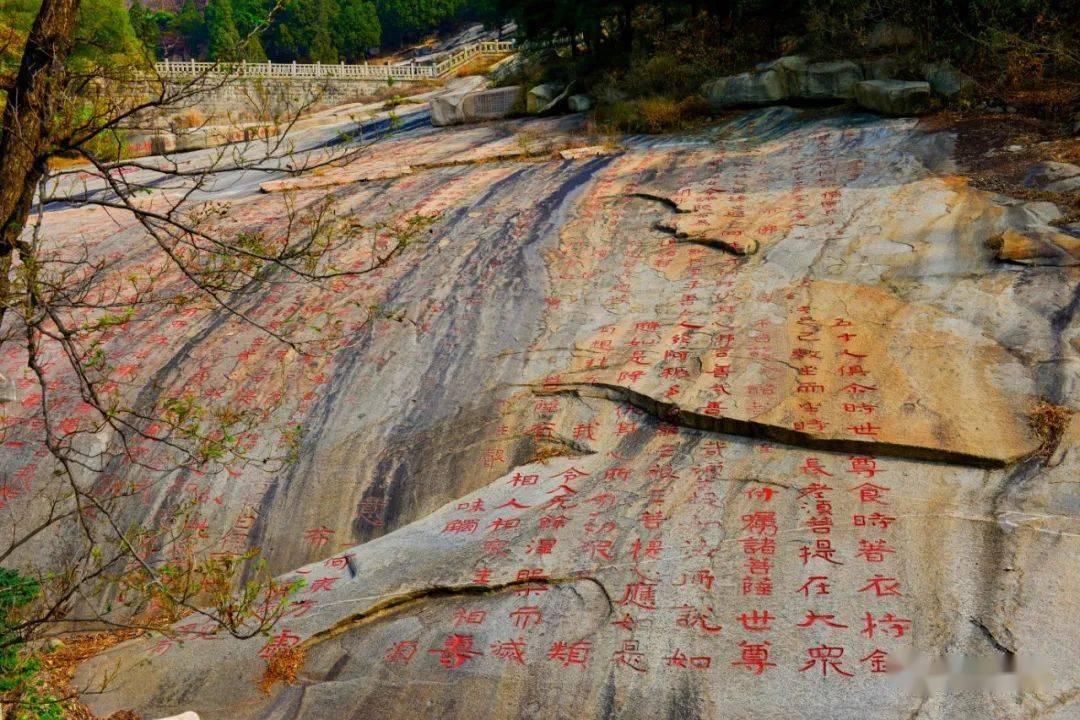 救援萌老虎